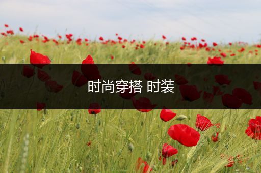 时尚穿搭 时装