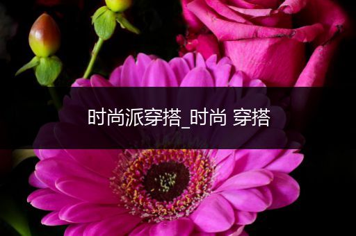 时尚派穿搭_时尚 穿搭