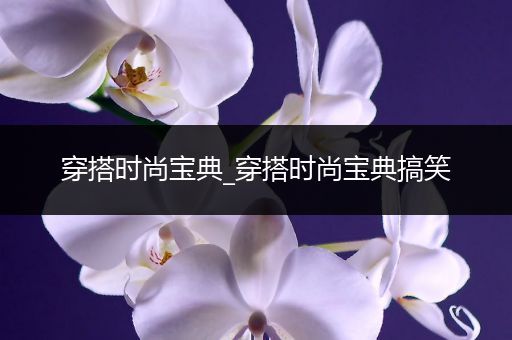 穿搭时尚宝典_穿搭时尚宝典搞笑