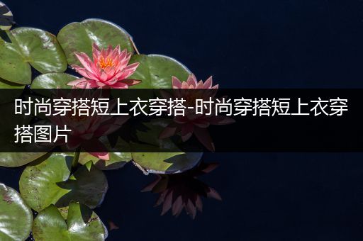 时尚穿搭短上衣穿搭-时尚穿搭短上衣穿搭图片