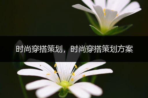 时尚穿搭策划，时尚穿搭策划方案