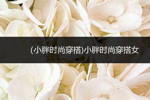 （小胖时尚穿搭)小胖时尚穿搭女