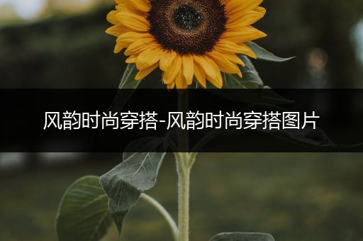 风韵时尚穿搭-风韵时尚穿搭图片