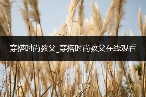 穿搭时尚教父_穿搭时尚教父在线观看