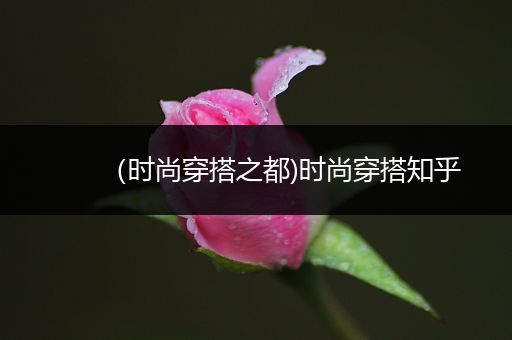 （时尚穿搭之都)时尚穿搭知乎