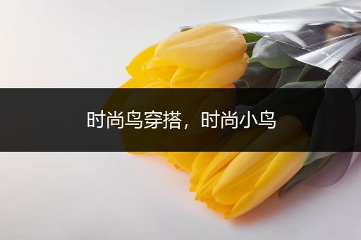 时尚鸟穿搭，时尚小鸟