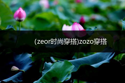 （zeor时尚穿搭)zozo穿搭