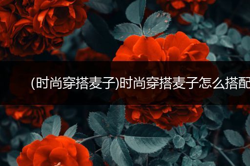 （时尚穿搭麦子)时尚穿搭麦子怎么搭配