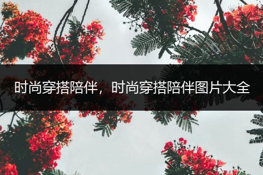 时尚穿搭陪伴，时尚穿搭陪伴图片大全