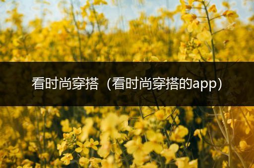 看时尚穿搭（看时尚穿搭的app）