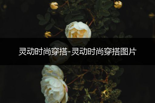 灵动时尚穿搭-灵动时尚穿搭图片