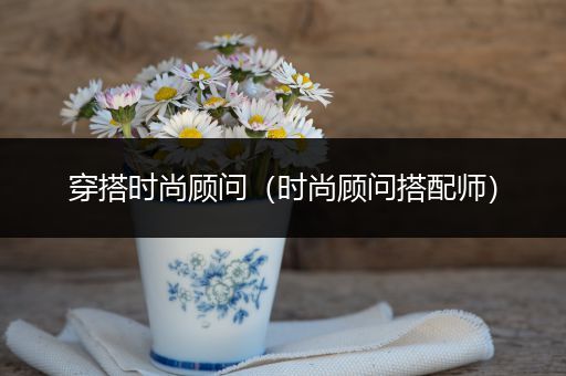 穿搭时尚顾问（时尚顾问搭配师）