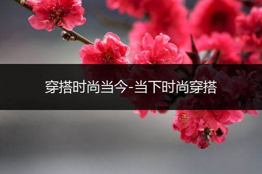 穿搭时尚当今-当下时尚穿搭