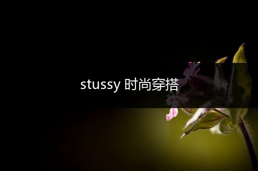 stussy 时尚穿搭