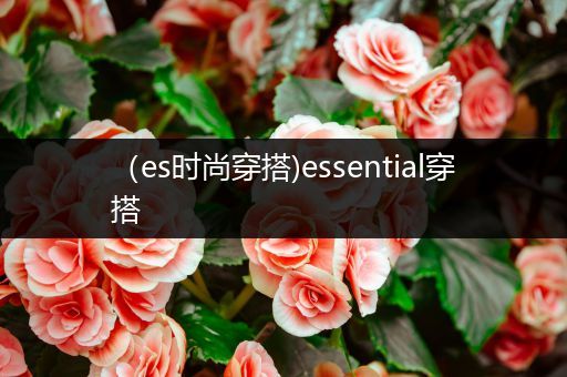 （es时尚穿搭)essential穿搭