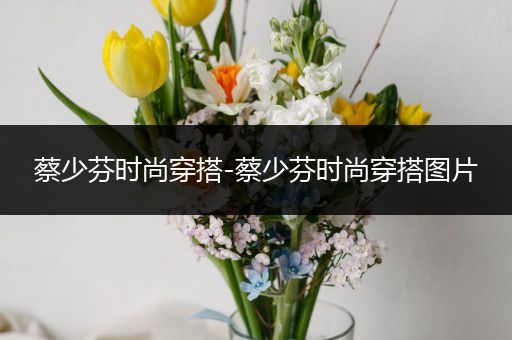 蔡少芬时尚穿搭-蔡少芬时尚穿搭图片