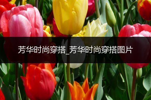 芳华时尚穿搭_芳华时尚穿搭图片