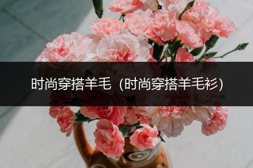 时尚穿搭羊毛（时尚穿搭羊毛衫）