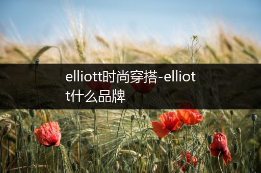 elliott时尚穿搭-elliott什么品牌