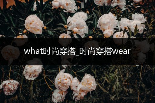 what时尚穿搭_时尚穿搭wear