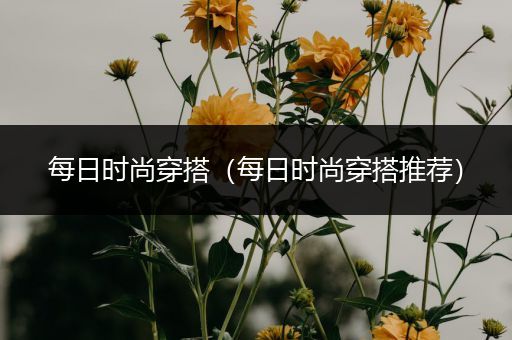 每日时尚穿搭（每日时尚穿搭推荐）