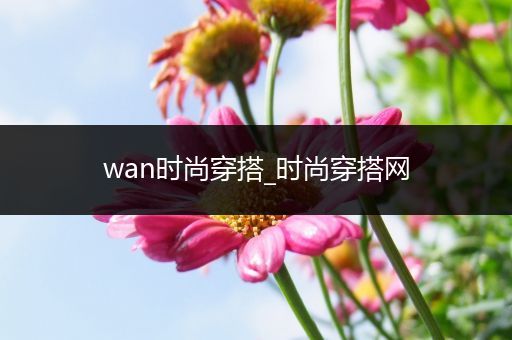 wan时尚穿搭_时尚穿搭网