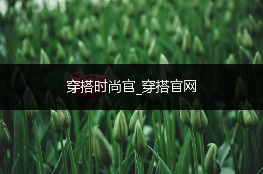 穿搭时尚官_穿搭官网