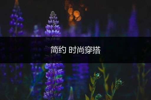 简约 时尚穿搭