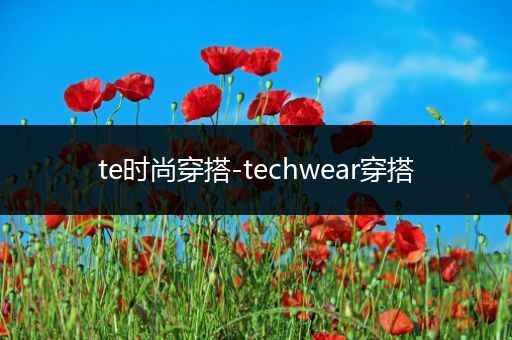 te时尚穿搭-techwear穿搭