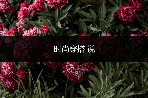 时尚穿搭 说