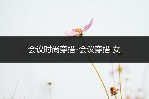 会议时尚穿搭-会议穿搭 女