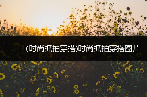 （时尚抓拍穿搭)时尚抓拍穿搭图片