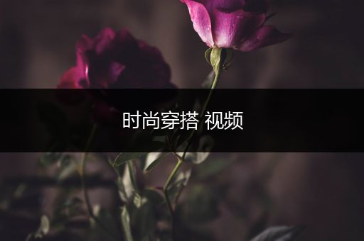 时尚穿搭 视频