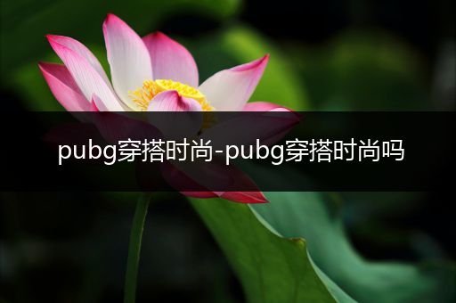 pubg穿搭时尚-pubg穿搭时尚吗