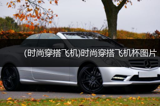 （时尚穿搭飞机)时尚穿搭飞机杯图片