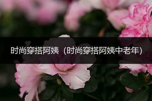 时尚穿搭阿姨（时尚穿搭阿姨中老年）