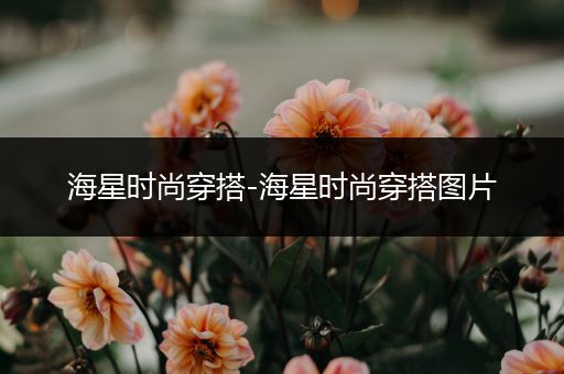 海星时尚穿搭-海星时尚穿搭图片