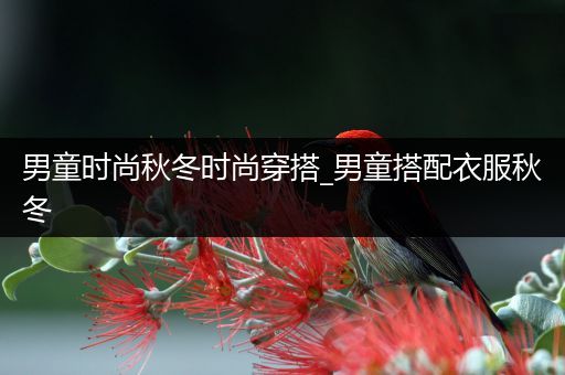 男童时尚秋冬时尚穿搭_男童搭配衣服秋冬