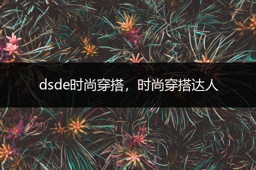 dsde时尚穿搭，时尚穿搭达人