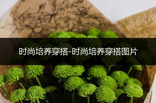 时尚培养穿搭-时尚培养穿搭图片