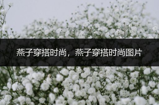 燕子穿搭时尚，燕子穿搭时尚图片