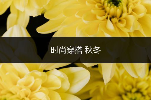 时尚穿搭 秋冬