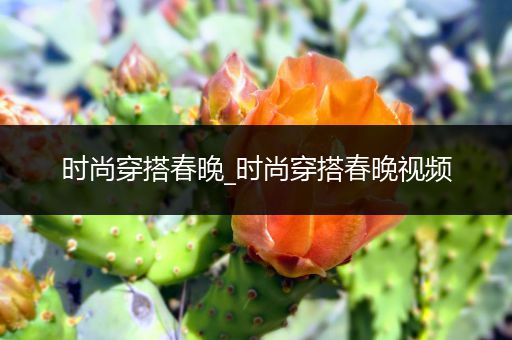 时尚穿搭春晚_时尚穿搭春晚视频