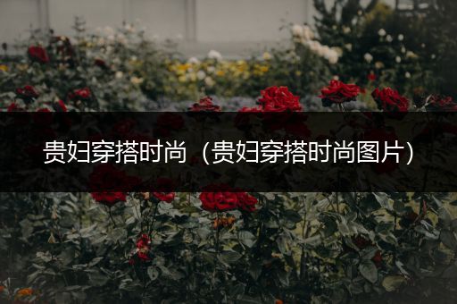 贵妇穿搭时尚（贵妇穿搭时尚图片）