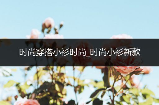 时尚穿搭小衫时尚_时尚小衫新款