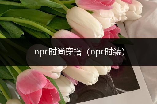 npc时尚穿搭（npc时装）