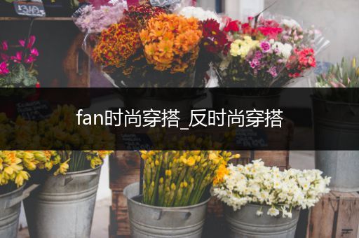 fan时尚穿搭_反时尚穿搭