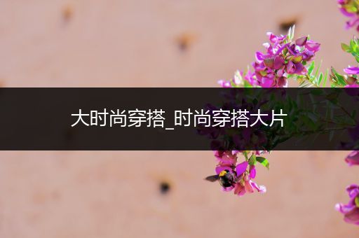 大时尚穿搭_时尚穿搭大片