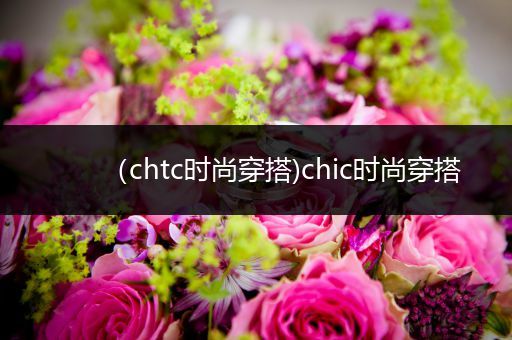 （chtc时尚穿搭)chic时尚穿搭