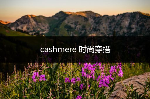 cashmere 时尚穿搭